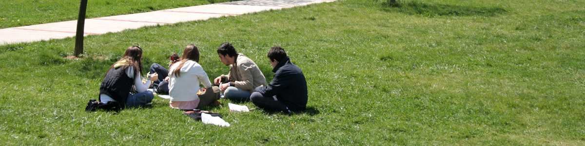 Enhancing the welfare of students in the private education sector